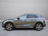 Audi Q5 40 TDI qu/S-tr *S-line*Standhzg*Pano*B&O*ACC* - Audi: Pickup