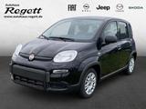 Fiat Panda 1.0 Mild Hybrid *DAB*Bluetooth*Klima*Freis - Fiat Panda Vorführfahrzeuge