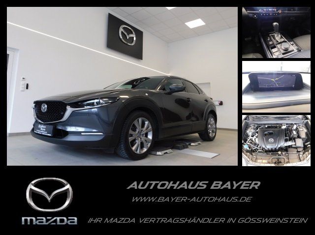 Mazda CX-30 SKY-G 2.0 Selection /Kamera/Des.Pa./PDC/18