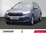 Skoda Kamiq 1.0 TSI Selection Infotainment-Paket AHK - Skoda Kamiq