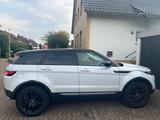 Andere Range Rover Evoque Sport 2.0 - Andere mit Diesel-Antrieb