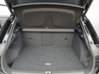 Cupra Terramar - Vorschau Bild 12