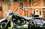 Harley-Davidson Softail Classic FLSTC Vergaser   - Offers