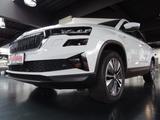 Skoda Karoq TDI 4x4 TOUR /Navi/LED/ACC/PDC+Kamera/AHK