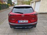Mazda CX-30 2.0 e-SKYACTIV-X M-Hybrid BOSE Selection - Mazda CX-30: Privatanbieter