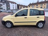 Fiat Panda 1.1 Active 1.HAND TÜV NEU ZAHNRIEMEN NEU - Fiat Panda Gebrauchtwagen in Saarbrücken