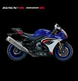 Suzuki GSX-R1000R 40th Anniversary Edition - SUZUKI GSX 1000