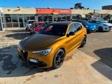 Other Alfa Romeo Stelvio 2.2 Turbodiesel 210 CV AT8 Q4 - Other: Braun