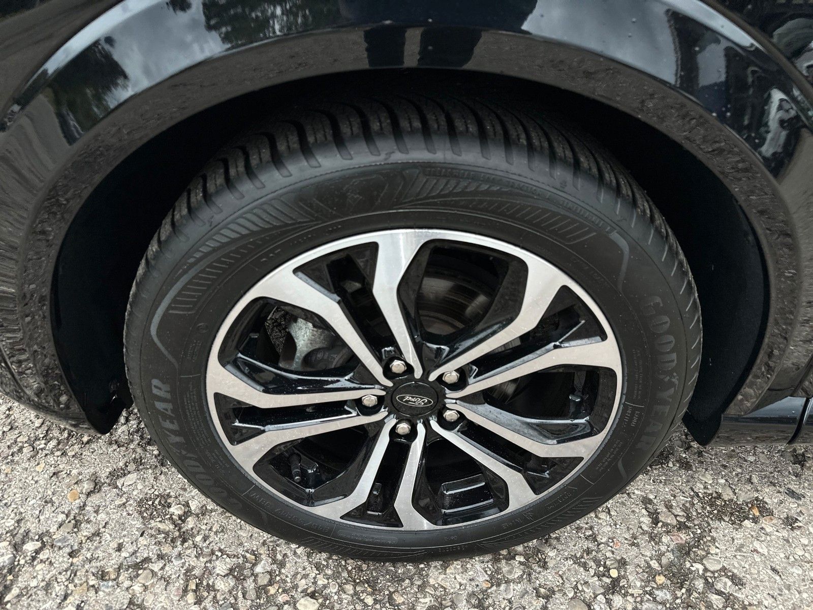 Fahrzeugabbildung Ford Puma ST-Line X Assistenz-&Winter-Paket, LED