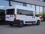 Fiat Ducato Modular L2H2 180 Automatik / 9-Sitzer - Fiat Ducato: Sitzer 9