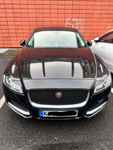 Jaguar XF 20d 180PS Prestige Automatik Prestige - Jaguar XF in Köln