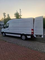 Mercedes-Benz Sprinter 216 CDI L2/H2 Klima Multilenkr. Nebelsc - Mercedes-Benz Sprinter: 21