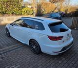 Seat Leon CUPRA 300 Carbon Edition *TÜV NEU* 395PS - Seat Gebrauchtwagen in Wiesbaden