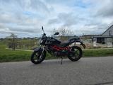 Benelli BN125 - BENELLI BN 125