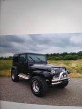 Jeep jeep wrangler 4.0 mit LPG und H Zulassung ... - Jeep Wrangler mit LPG-Antrieb: Geländewagen
