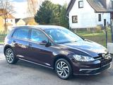 Volkswagen Golf 1.0 TSI 110PS 1-Hand 75000km Top! - Volkswagen Golf: 75ps