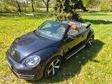 Volkswagen Beetle 1.4 TSI DSG BMT CUP Cabriolet CUP - Volkswagen Beetle mit Benzin-Antrieb: Cabrio, 1.4
