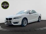 BMW 220i Advantage 6 Gang Navi GJR Bi Xenon - BMW Gebrauchtwagen in Marl