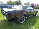 Ford Mustang 5.0 V8 Cabrio - Ford Mustang Oldtimer