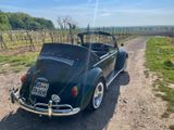 Volkswagen Käfer Cabrio "Einzelstück" - aus 1966: Cabrio