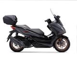 Honda NSS 125 Forza 2025 Special Edition !Aktion! - VON 81 BIS 125 CCM