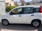 Fiat Panda  wenig Kilometer (70.000 km) - Fiat Panda Gebrauchtwagen in Stuttgart