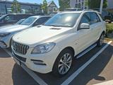 Mercedes-Benz ML 250 4MATIC TOP Zustand, MB Werkstatt geprüft - Mercedes-Benz ML 250 aus 2012