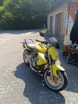 Kawasaki ER 6n ABS  - Angebote