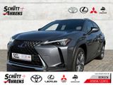 Lexus UX 300e Luxury HUD NAV MatrixLED Leder ACC ASSI