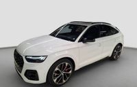 Audi SQ5 - Vorschau Bild 2