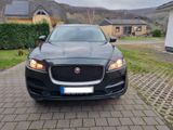 Jaguar F-Pace 30d AWD Pure Automatik Pure - Jaguar F-Pace in Köln