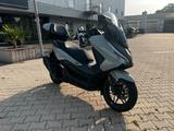 Honda Forza 350 erst 200KM - HONDA 200