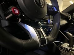 Fahrzeugabbildung Alfa Romeo Giulia 2.9 V6 QUADRIFOGLIO NAVI/KAMERA/CARBON/SH