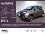 Fiat Panda City Plus 1.0 Mild-Hybrid Klimaanlage DAB+ - gebrauchte Fiat Panda aus dem Jahr 2023
