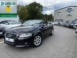 Audi A3 Cabriolet 1.8 Attraction/S-Heft/Leder/Klima - Audi A3 aus 2008: Cabrio