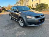 Volkswagen VW, Volkswagen Polo 6R 1,2 Trendline - Volkswagen Polo aus 2009: 1.6