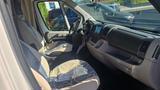 Fiat Ducato Rimor Alkoven-Wohnmobil AKA63A3 - Fiat Wohnmobil oder -wagen Ducato Wohnwagen