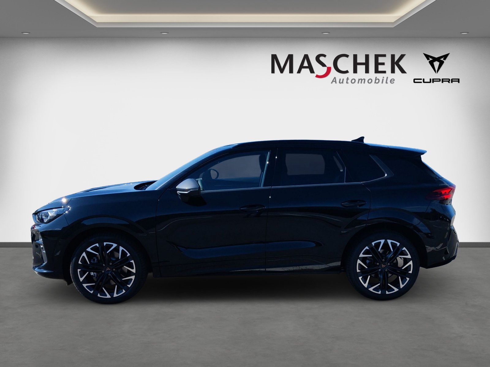 Cupra Terramar - Bild 3