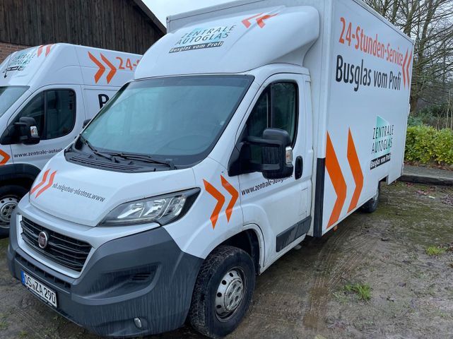 Fiat Ducato Kofferaufbau