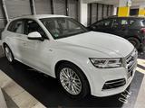 Audi Q5 2.0 TFSI S tronicQuattro sport*S Line*STH*AHK - Audi Q5: Sport