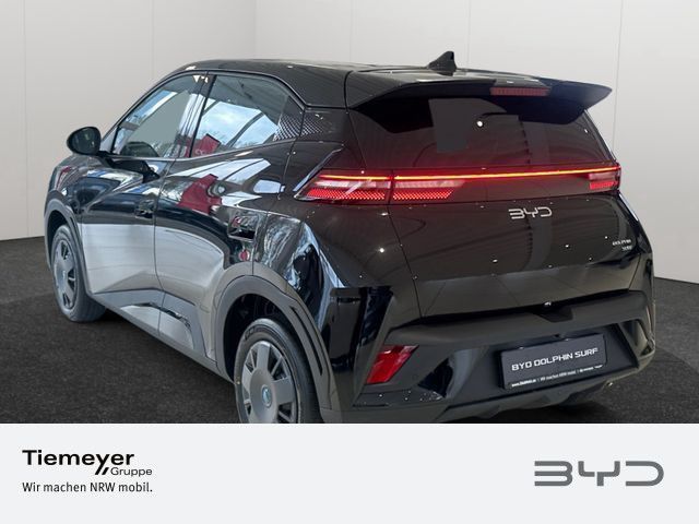 BYD DOLPHIN SURF