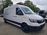 MAN TGE 3.180 Kühlkasten Stand + Fahrkühlung - Gebrauchte LKW