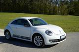Volkswagen Beetle 2.0 TDI Sport Sport - Volkswagen Beetle mit Diesel-Antrieb