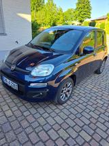 Fiat New Panda 1.2 8V LOUNGE LOUNGE - blaue Fiat New Panda