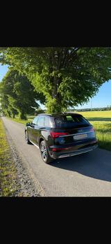 Audi Q5 40 TDI S tronic quattro advanced advanced - Audi Q5 in Kiel