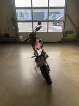 Beta RR125 verstärkte Kette Handschutz - BETA 125