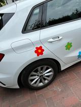 Audi A3 Sportback - Audi 100 Sport Gebrauchtwagen