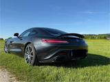 Mercedes-Benz AMG GT 4.0 V8 DCT - - Mercedes-Benz AMG GT: Privatanbieter