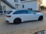 Audi RS4 2.9 TFSI  H+R Gewinde competition  - Audi RS4 aus 2019