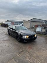 BMW E39 523i Touring M-Paket - BMW: E39 M Paket